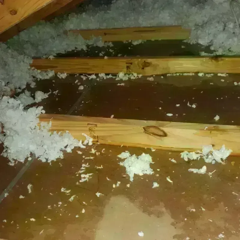 Attic Water Damage in Bridgman, MI