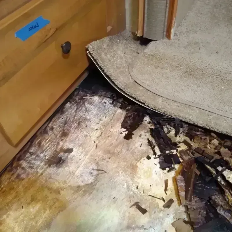 Best Wood Floor Water Damage Service in Bridgman, MI